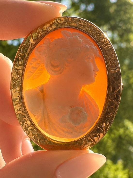 Victorian Brooch Jewelry - Victorian 10k Yellow Gold Carved Shell Classical Cameo Brooch 6.4 gram Antique
